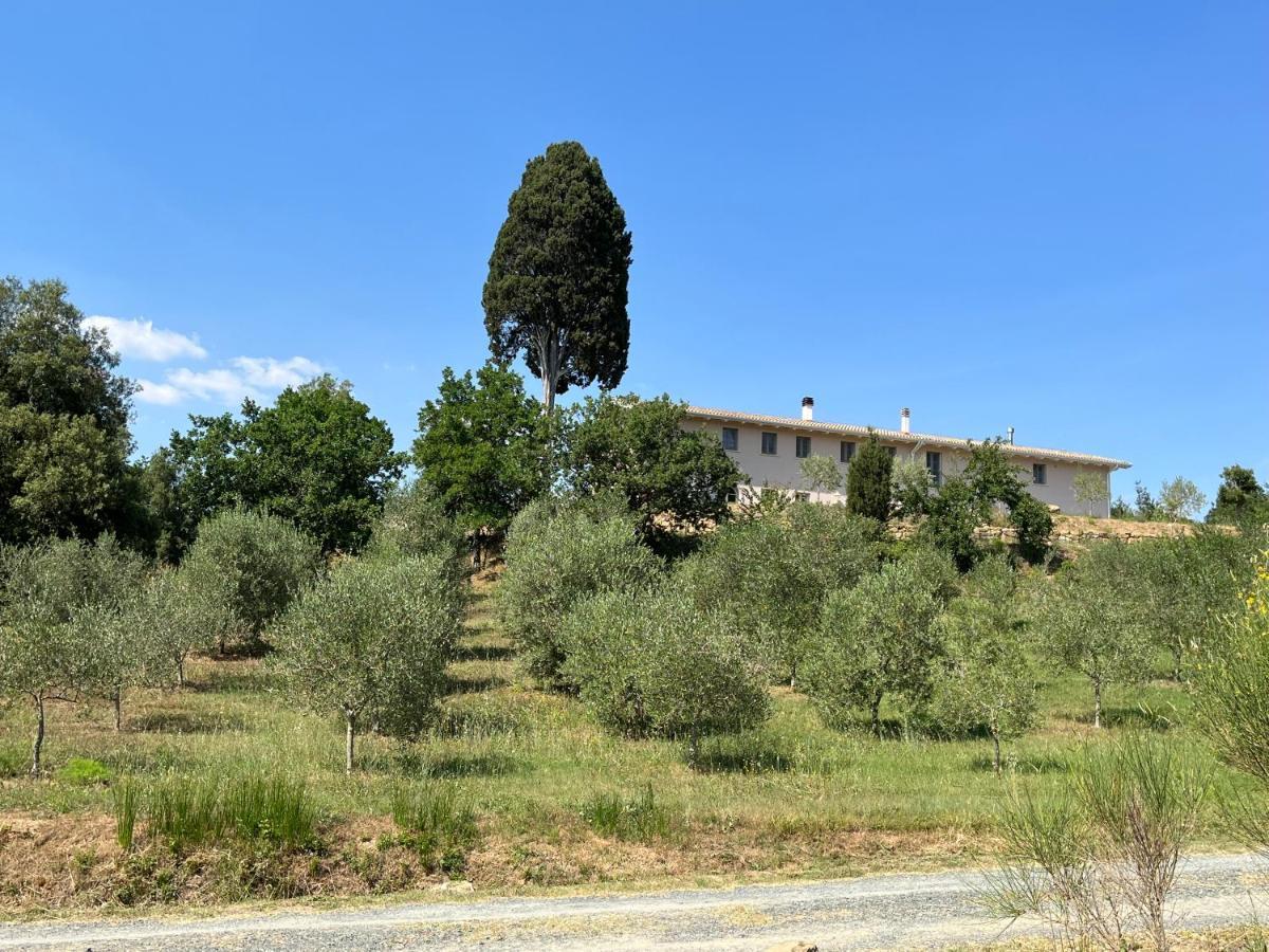 B&B Il Vecchio Molino Quercianella Exterior photo